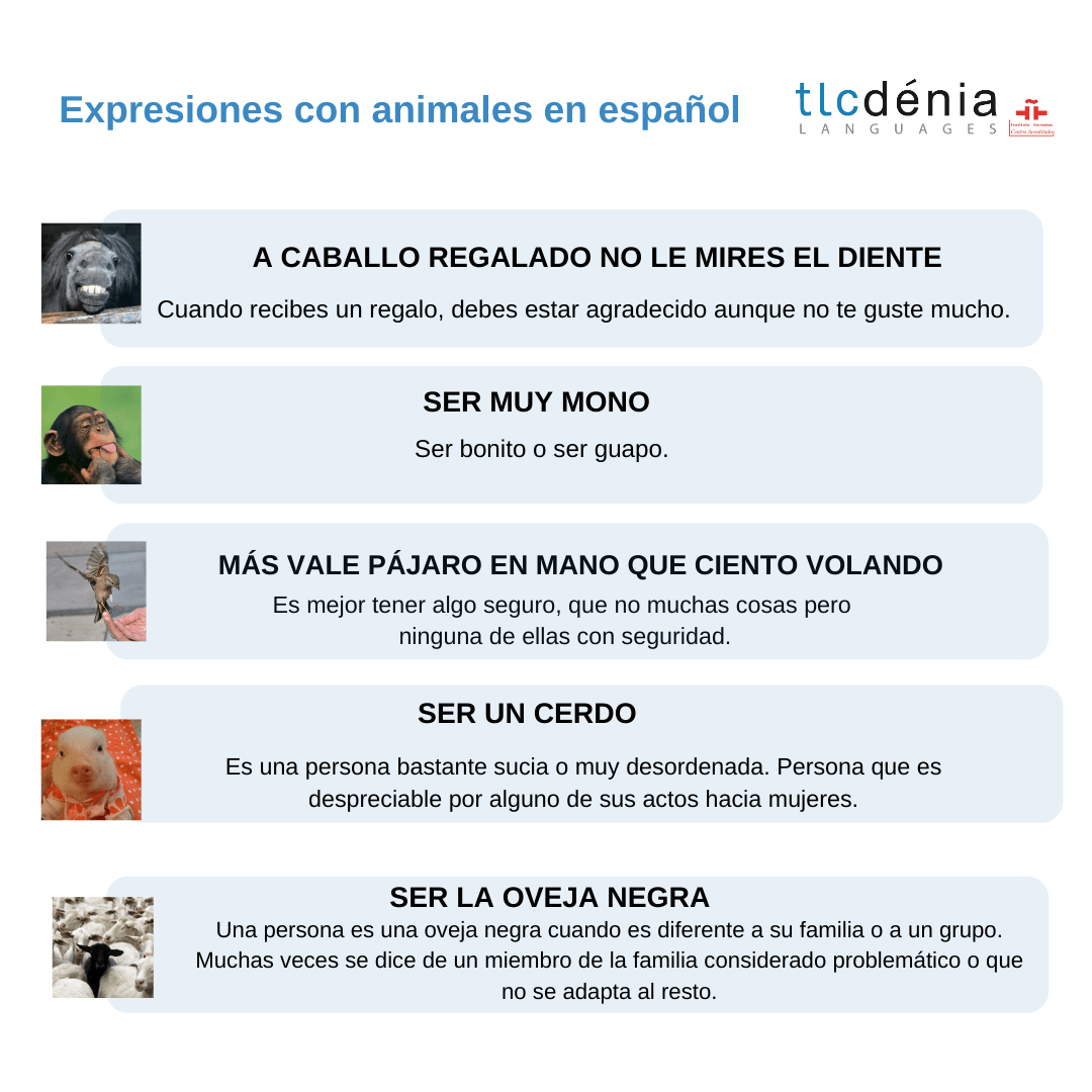 Spanish expressions with animals chart