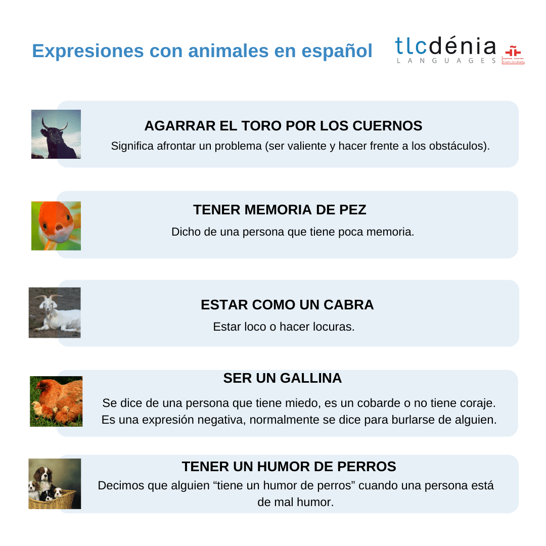 Spanish expressions with animals chart