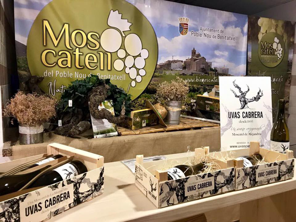 Dénia, destination to study Spanish and eat well Visit to the Moscatel Wine Cellar in Benitatxell