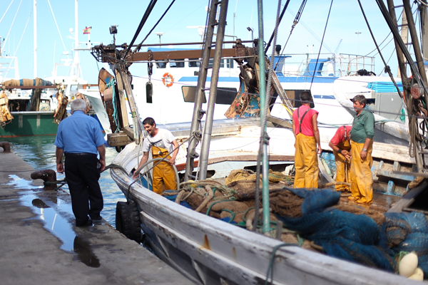 Dénia, destination to study Spanish and eat well Fishing boat in the fish market of Denia