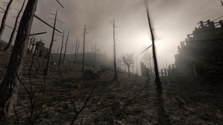 Conversation in Spanish about environmentalism a forest after a fire
