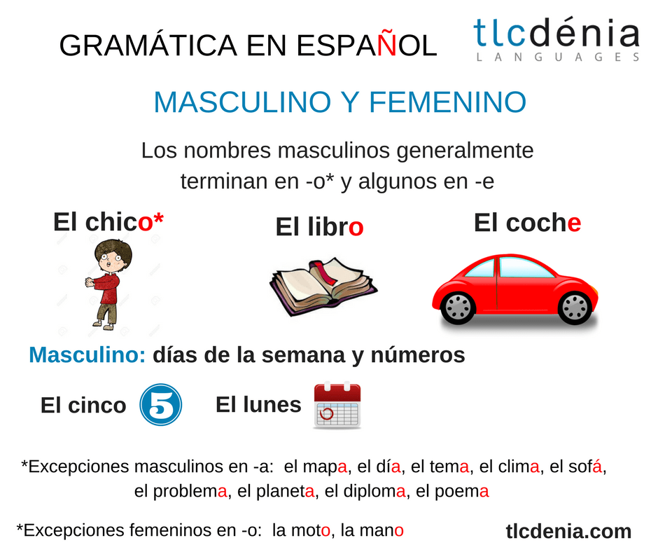 Conjugaison terminaison masculin