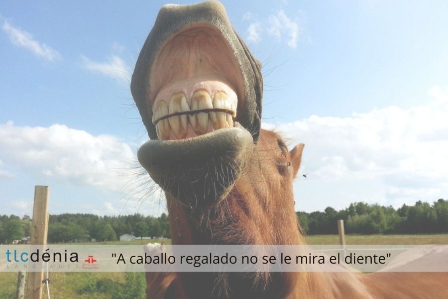 Expression en espagnol a caballo regalado no se le mira el diente