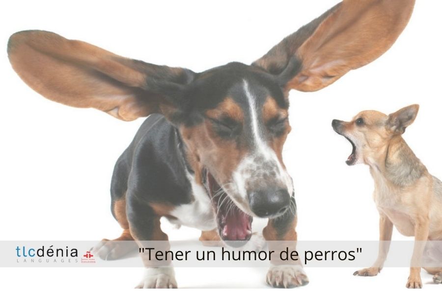 Expression en espagnol tener un humor de perros