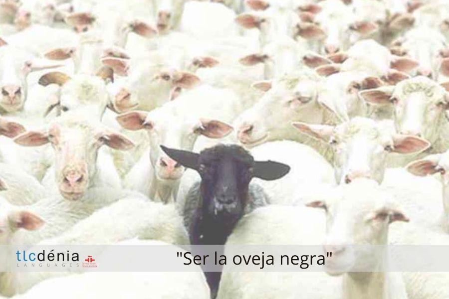 Expression en espagnol ser la oveja negra
