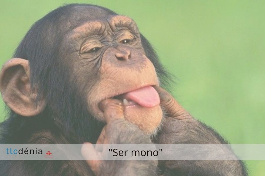 Expression en espagnol ser mono