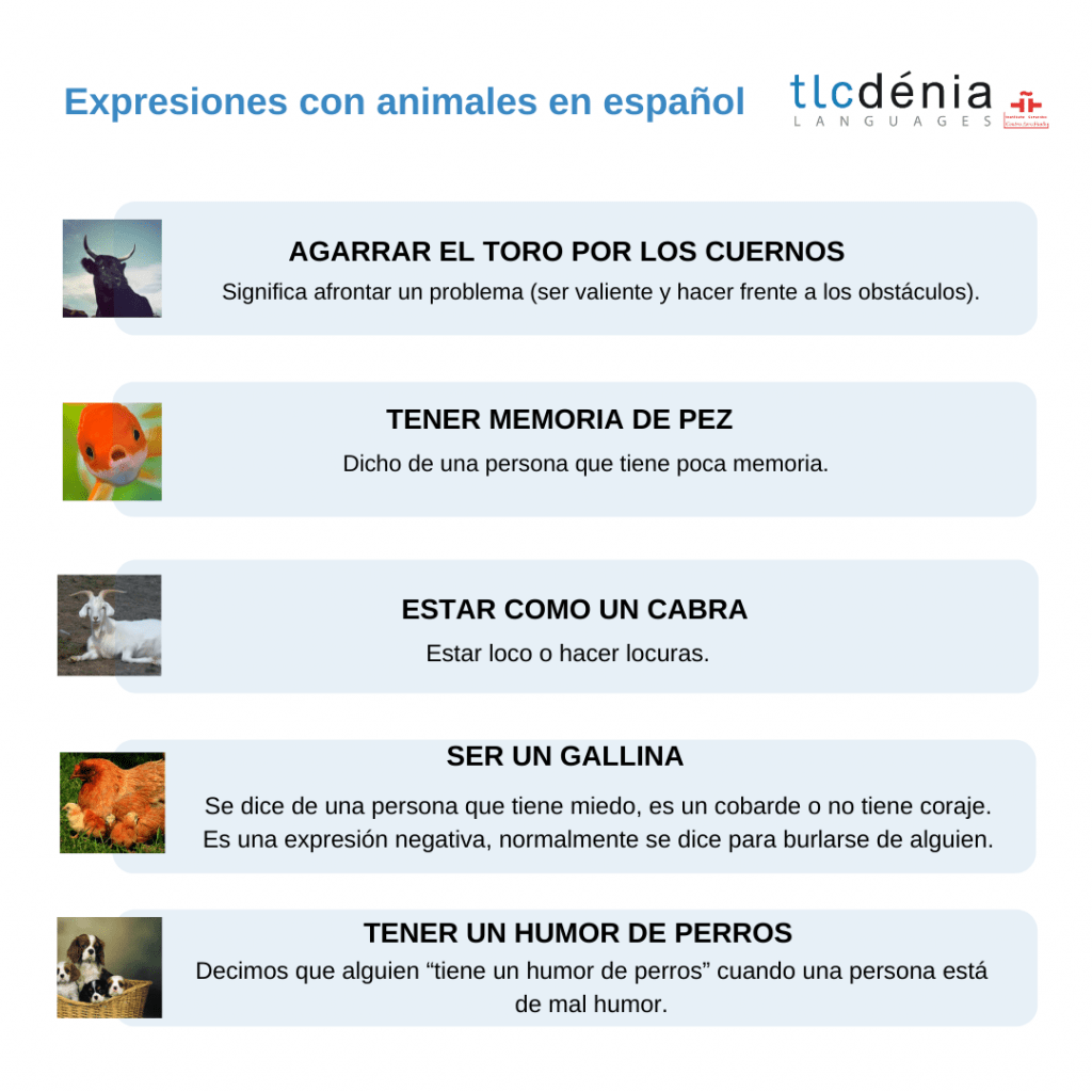 grafique avec des expressions en espagnol avec des animaux