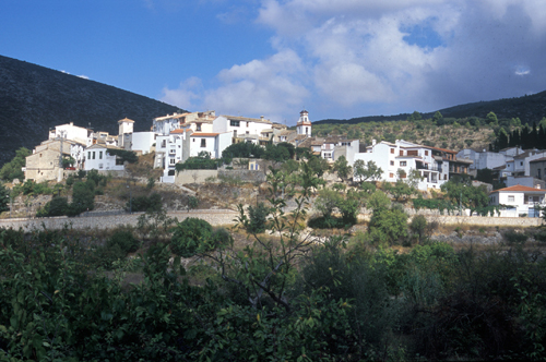 estudiar_espanol_espana estudiar_espanol_espana
