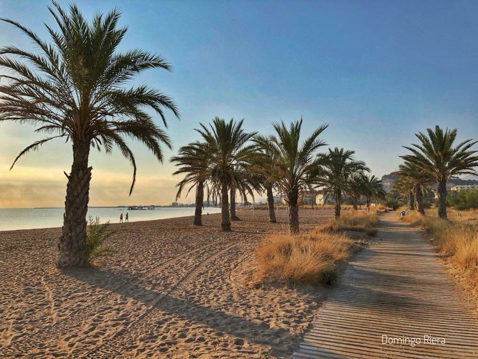 Zandstrand van Denia met palmbomen aan de Spaanse kust