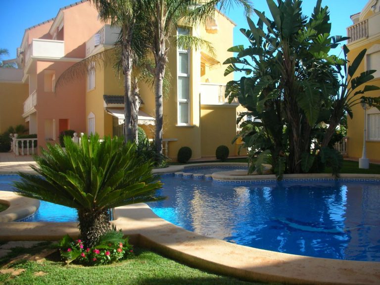 Basen z palmami w mieszkaniu miejskim od szkoły językowej TLC Denia