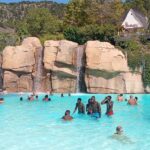 Studenti di un gruppo scolastico ad Aqualandia, in Spagna