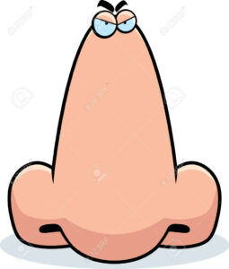 Illustration einer Nase mit Gesicht