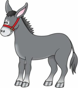Illustration eines Esels