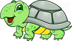 Grüne Schildkröte