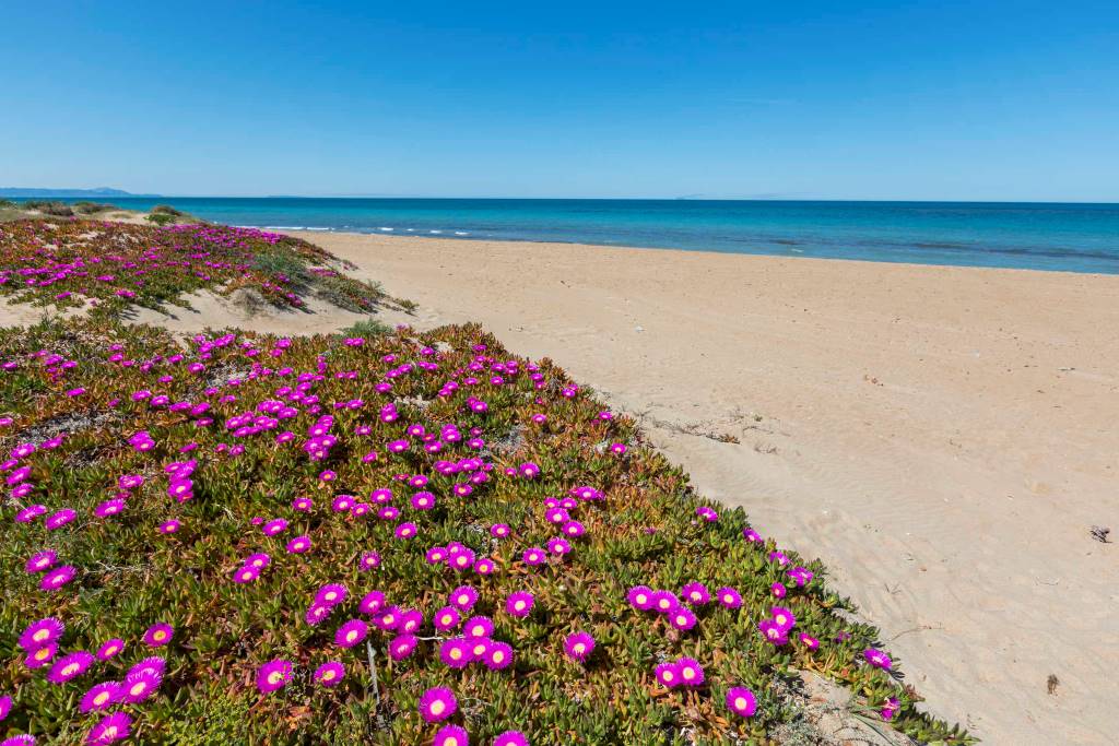 Plage naturel à Denia