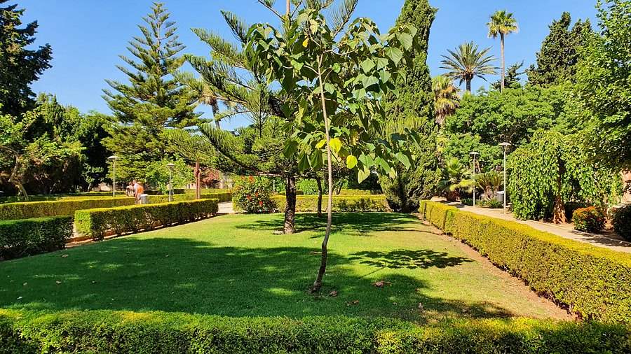 Park in Denia for reading and picnics